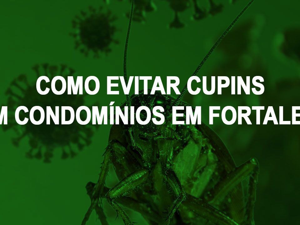 Como evitar cupins em condomínios em Fortaleza