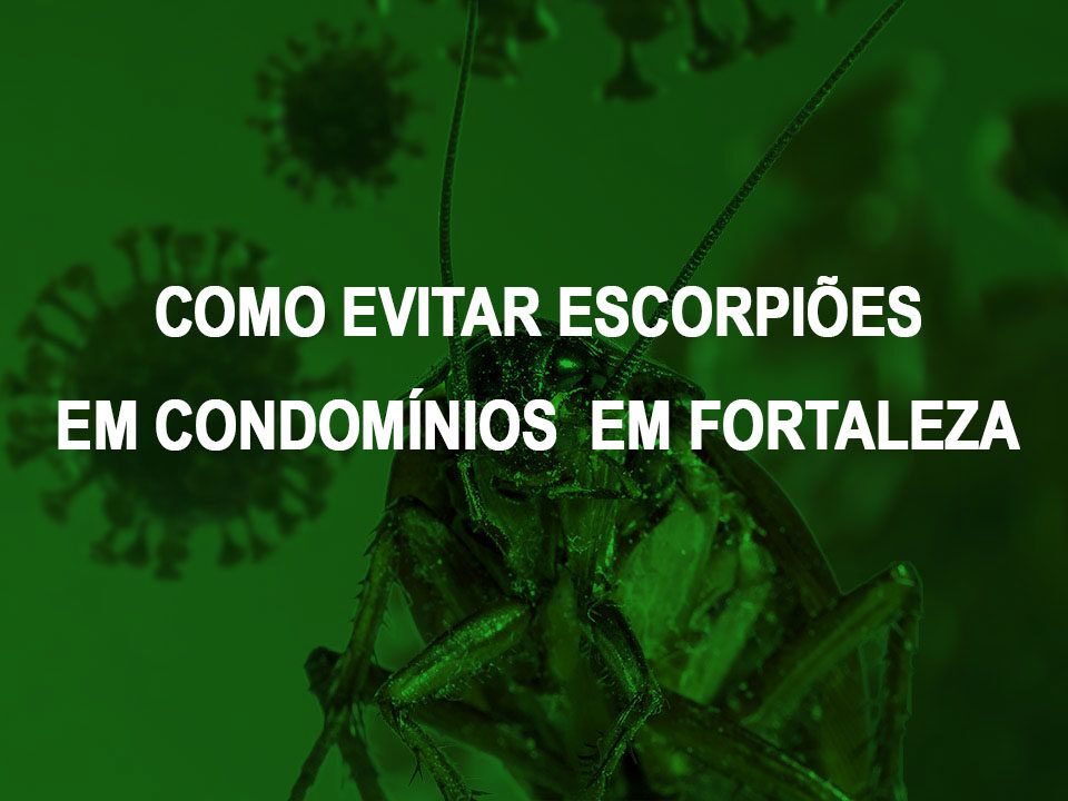 como evitar escorpiao em condominios em Fortaleza