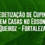 Dedetização de Cupins em Casas no Edson Queiroz Fortaleza